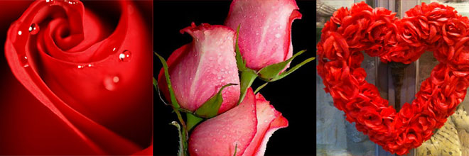 Une rose offerte pour nos clients les vendredi 14 et samedi 15 février 2014 !